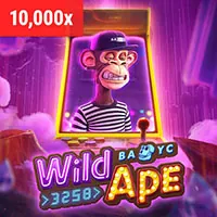Video Slots Bsport App