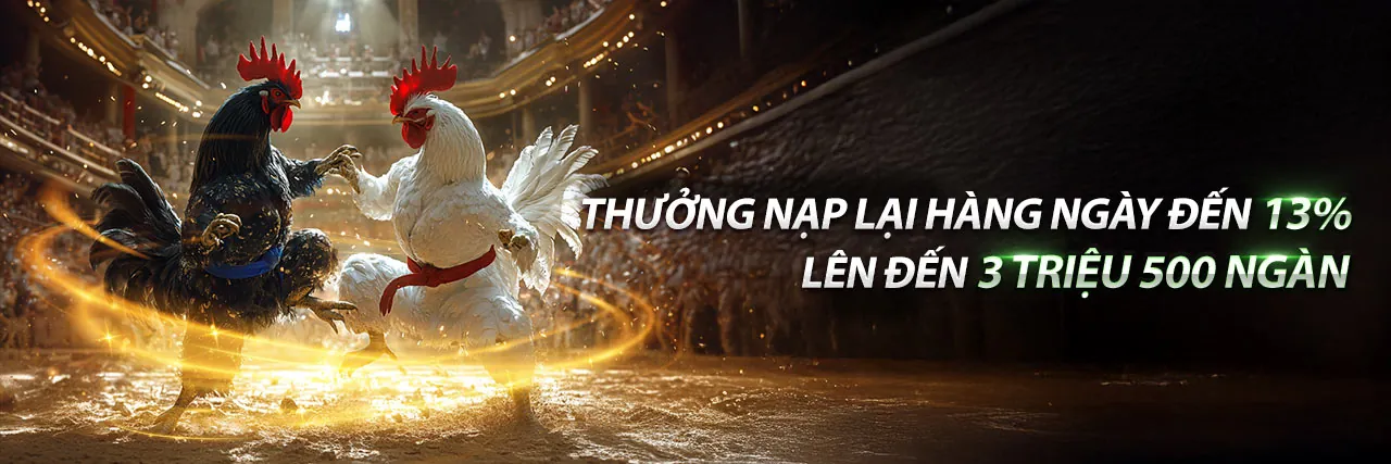 Đội ngũ hỗ trợ khách hàng chuyên nghiệp của bsport app