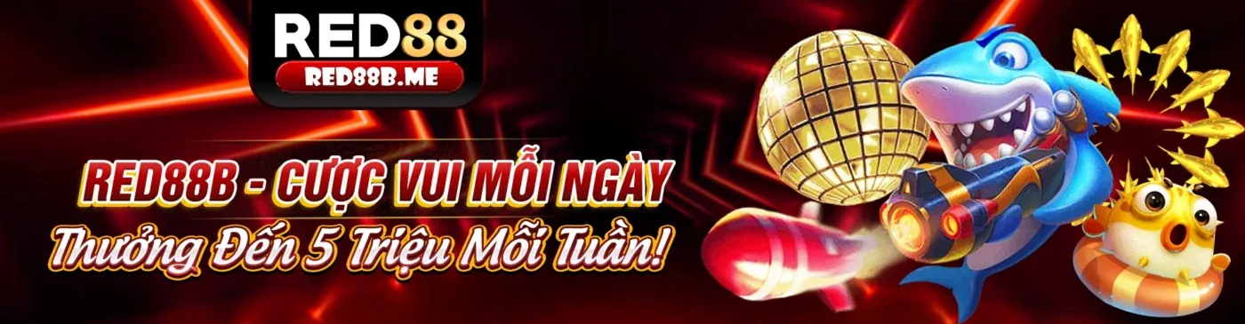 Cam kết của bsport app về chơi có trách nhiệm
